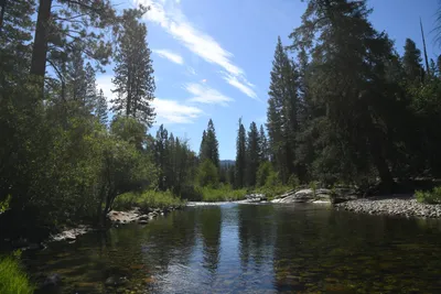 DSC_4296 (Large).JPG